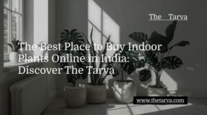 Discover-The-Tarva-The-Best-Place-to-Buy-Indoor-Plants-Online-in-India
